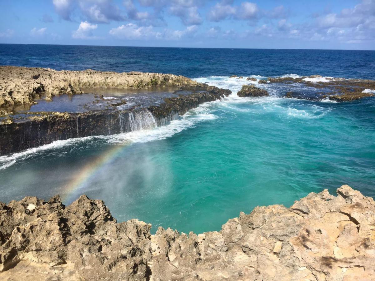 Palmita Hostel Aruba Oranjestad Dış mekan fotoğraf